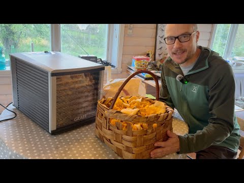 Videorecension av Graef DA510: Plockar svamp och torkar svamp. Test av Graef DA510 dehydrator.
