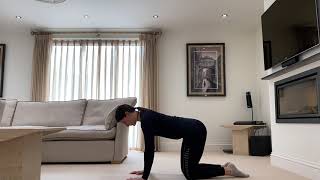 Kneeling Scapular Push Up