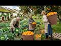 Peaceful Mountain Village Life | Harvesting Fresh Vegetables, Feeding Animals, Simple Daily Living