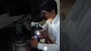 Rishav Path Lab 🩺 Dr R K Rao test By Microscope 🔬 in WBC high #like #share #WBC #slide #microscope