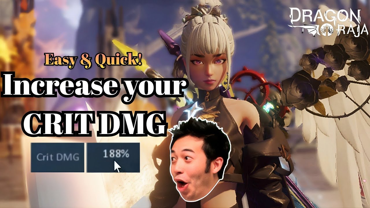 Best CRIT DMG Guide | Dragon Raja