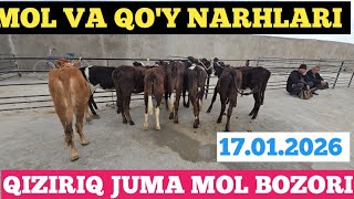 17.04.2026 QIZIRIQ JUMA MOL BOZORI MOL VA QO'Y NARHLARI https://t.me/Musulmonjonibragimov