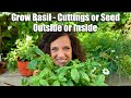 How to Grow Basil from Cuttings and Seed - Outside (Warm Weather) or Inside (Cold Weather)🌱