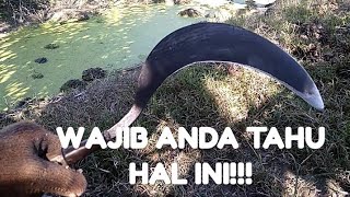 Cara Memilih Sabit Yang Bagus Dengan Tingkat Ketajaman Tidak Diragukan - Youtube