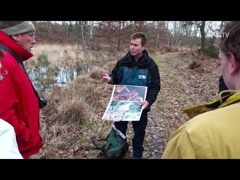 &Agrave; la d&eacute;couverte de l&rsquo;espace naturel sensible du Gaouchey &agrave; Luxey