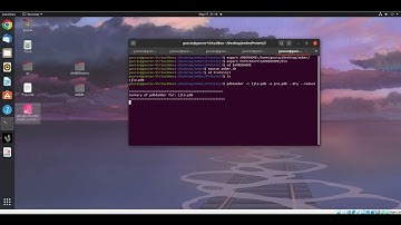 AMBER Tutorial: How to Prepare PDB File for MD Simulation
