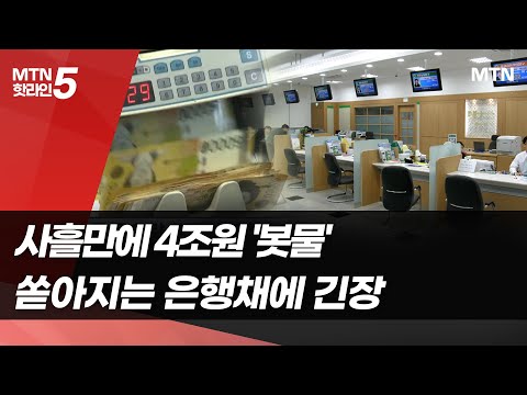 3일만에 4조원 쏟아지는 은행채에 긴장 고조 머니투데이방송 뉴스 