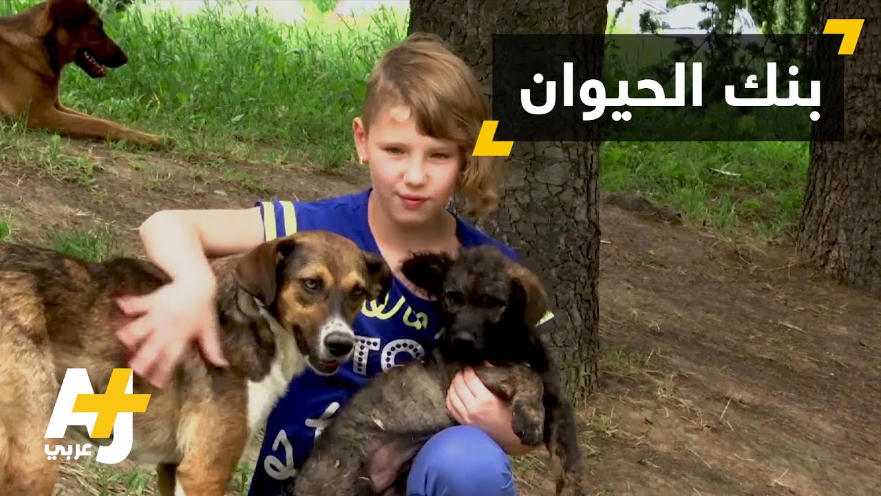 بنك أغذية للحيوانت المشردة في صربيا