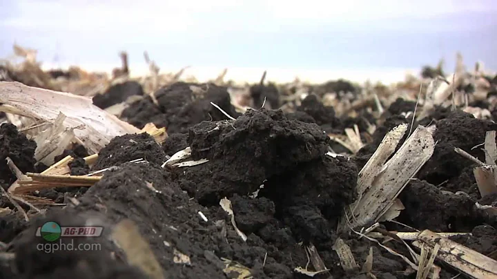 Organic Matter #763 (Air Date 11/18/12)