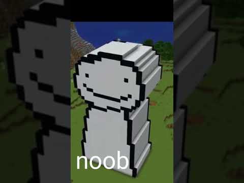noob vs pro build dream house😎