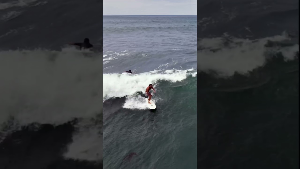 SURFER'S PERFECT WAVE RIDE! 