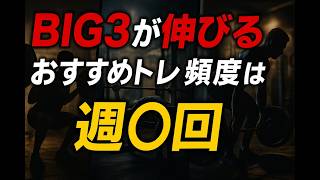 【週○回？】BIG3を伸ばす適切なトレーニング頻度！