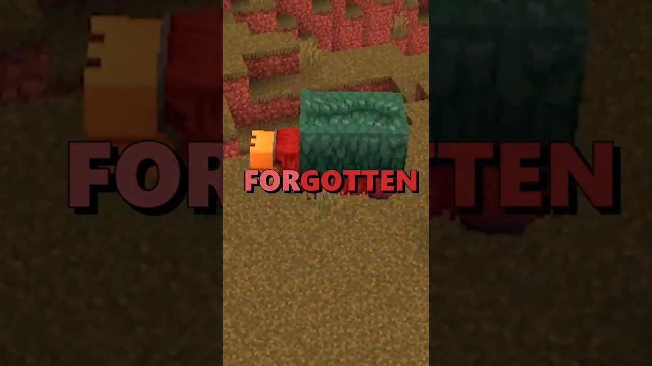 Sniffer Is FORGOTTEN!??