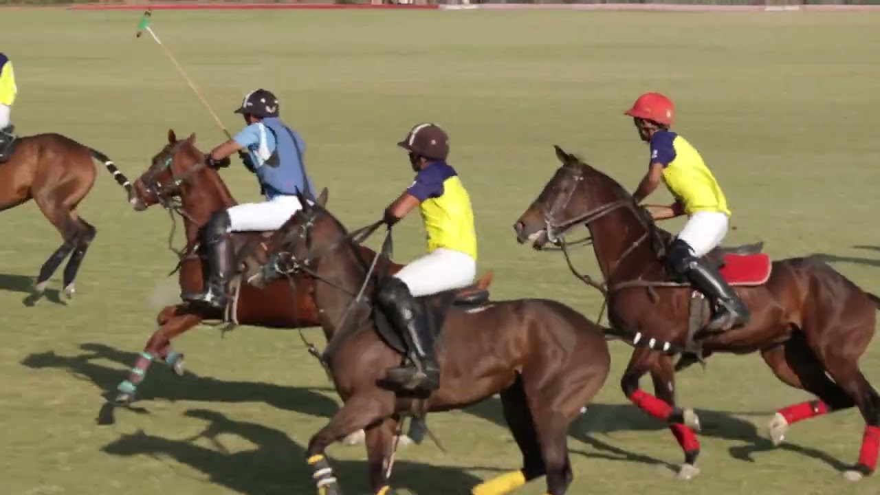 D'MONDE POLO CUP | JINDAL PANTHER vs DELTA POLO