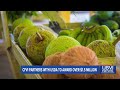 CFVI Partners with USDA to Award More than $1.5M