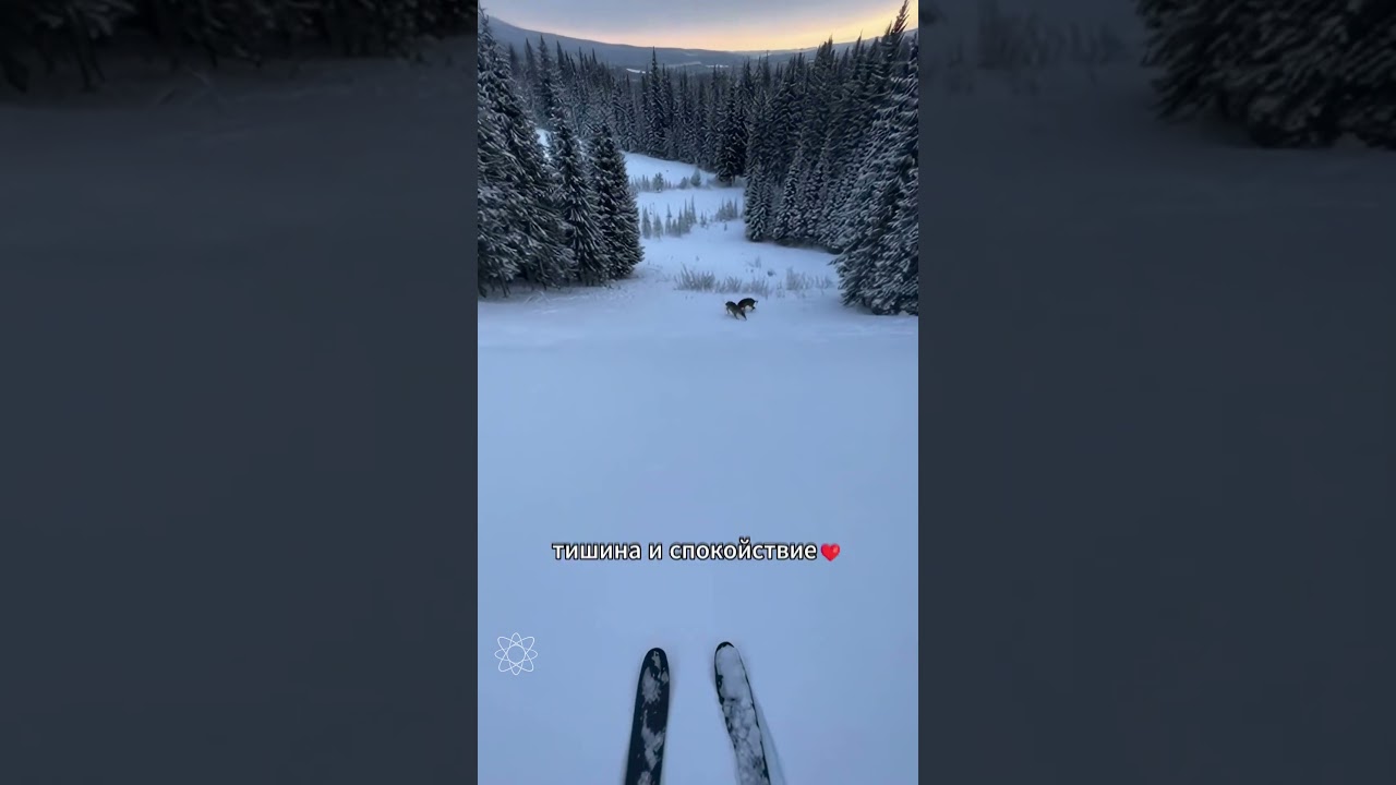 Немного расслабляющего контента вам в ленту🥰 Спускался с горы на лыжах заметил оленей! Природа... ♥️