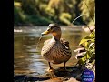 Story of Duck and her Freinds | Friendships | True Friends #stories #trendingshorts