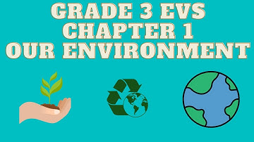 Grade 3. EVS chapter 1 - Our environment. #Part:1 explanation.