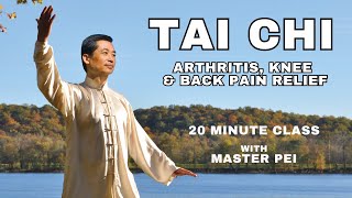 Tai Chi for Beginners | Arthritis, Knee & Back Pain Relief by BodyWisdom 9,246 views 6 months ago 20 minutes