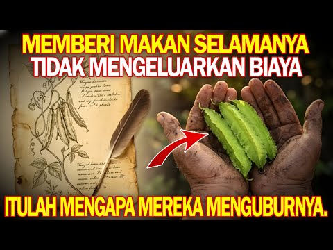 Kacang Tanah Protein Tinggi