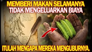 Protein lebih tinggi dari kedelai. 5 jenis makanan dari 1 tanaman. Mengapa itu dihapus?