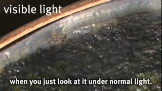 Conservation Focus: Raking Light -- Embedded Object