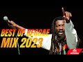 BEST OF REGGAE AND ROOT SONGS  2023  VIDEO MIX BY DJ DOGO REGAE MIX VOL 1