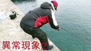 冬の漁港で変な魚を釣りあげる人(291話目)