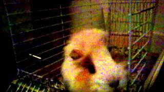 MOV00609.MP4