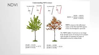 eLearning Image Processing with ArcGIS