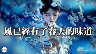 王一佳 - 風已經有了春天的味道【Pinyin   Eng Sub | AI音樂視頻 | 繁體拼音英文動態字幕】Wang Yijia 【王一佳 - 风已经有了春天的味道】