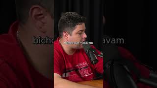 Teoria Dos Baús Gaimon One Piece