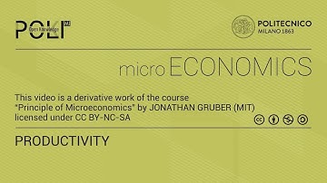 Productivity  (derived from video lecture by Jonathan Gruber)