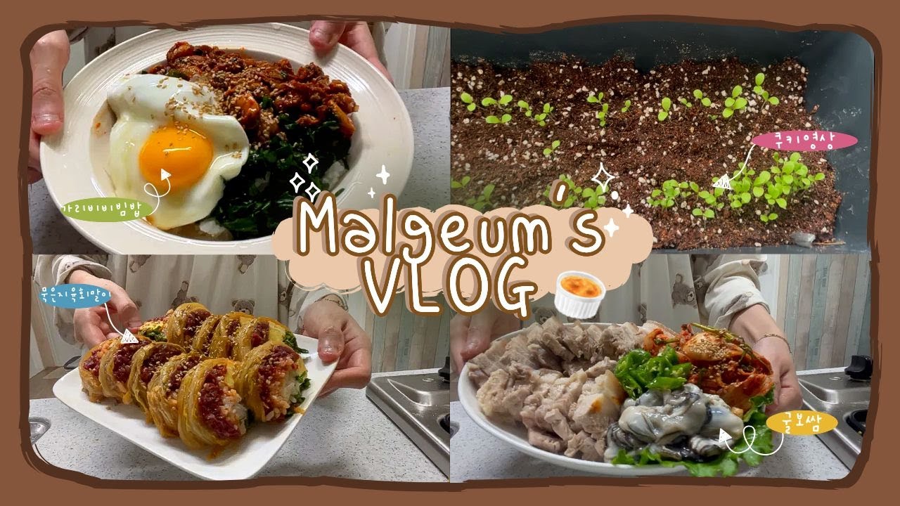 [VLOG] 겨울이니 굴보쌈 먹어야죠 .. 🦪❤ | 굴보쌈, 묵은지 육회말이, 가리비비빔밥, 상추 키우기