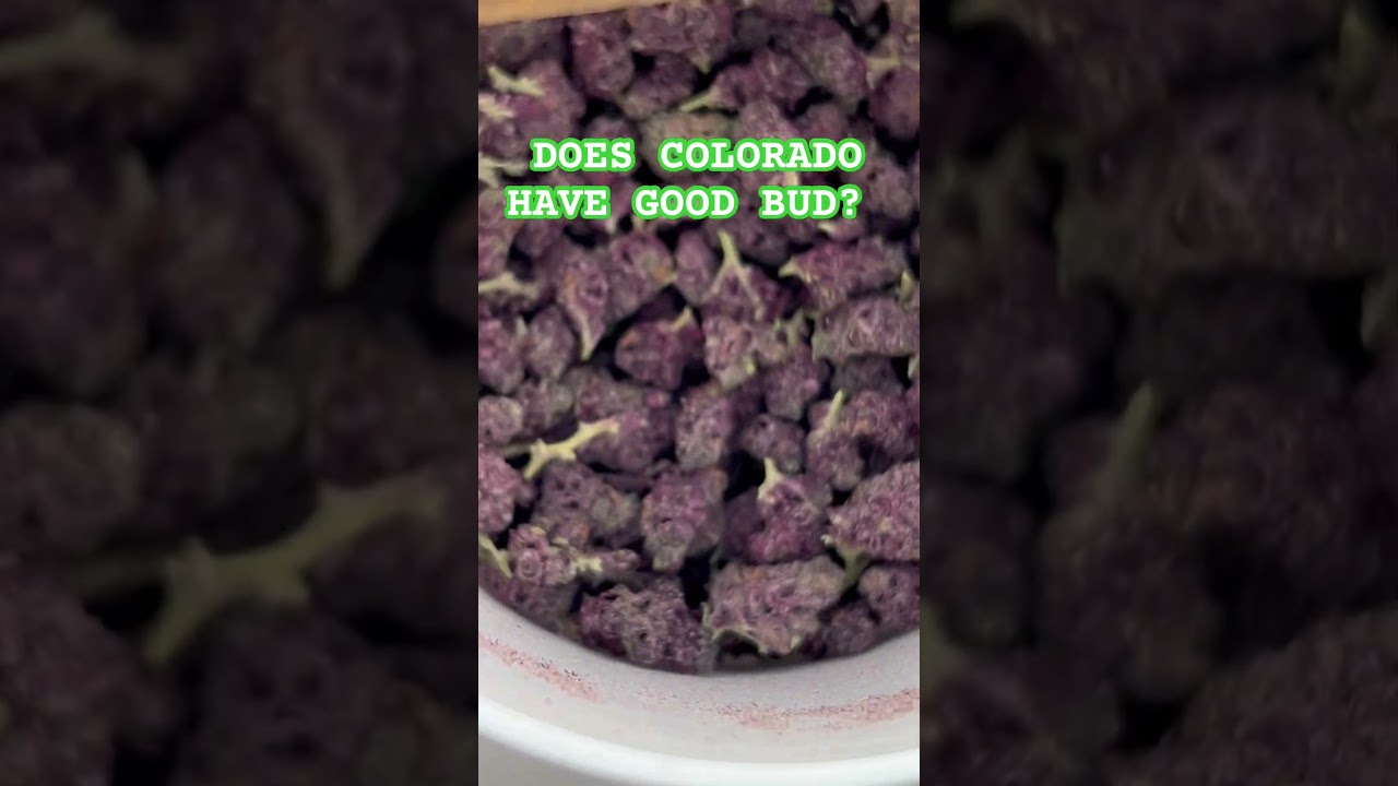 Colorado weed? 