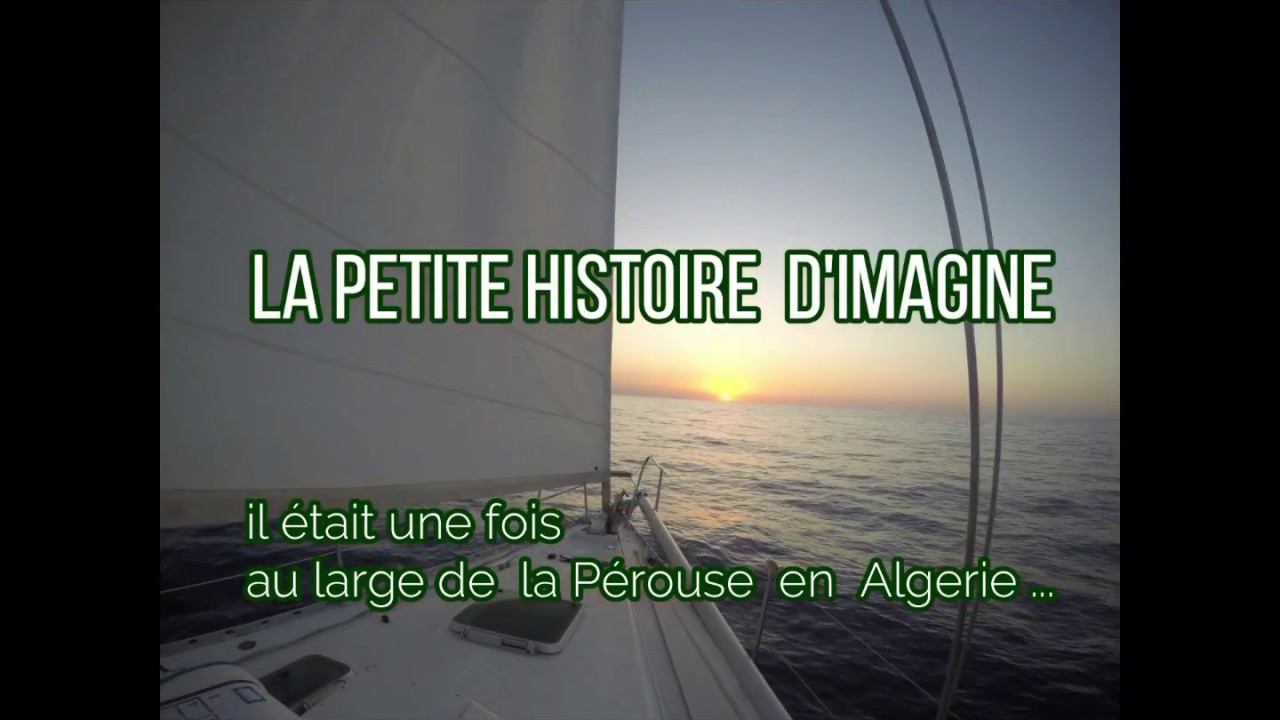 les dauphins de La Pérouse    