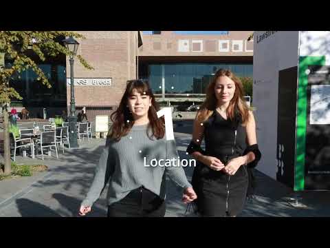 10 reasons to study in Breda | Breda University of Applied Sciences