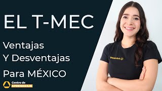 Advantages and Disadvantages of the T-MEC - How much does it benefit Mexico?