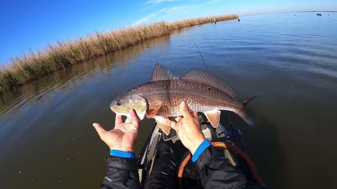 Kayak fishing Louisiana YouTube