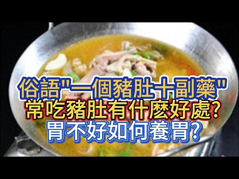「吃豬肚養胃」有用嗎？以形補形的真相
