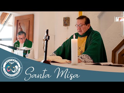 Santa Misa de hoy -  21 de noviembre 2025