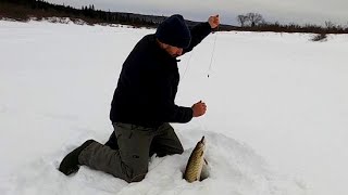 MUSKIE FISHING THE GREAT FROZEN NORTH | ALLAGASH MAINE