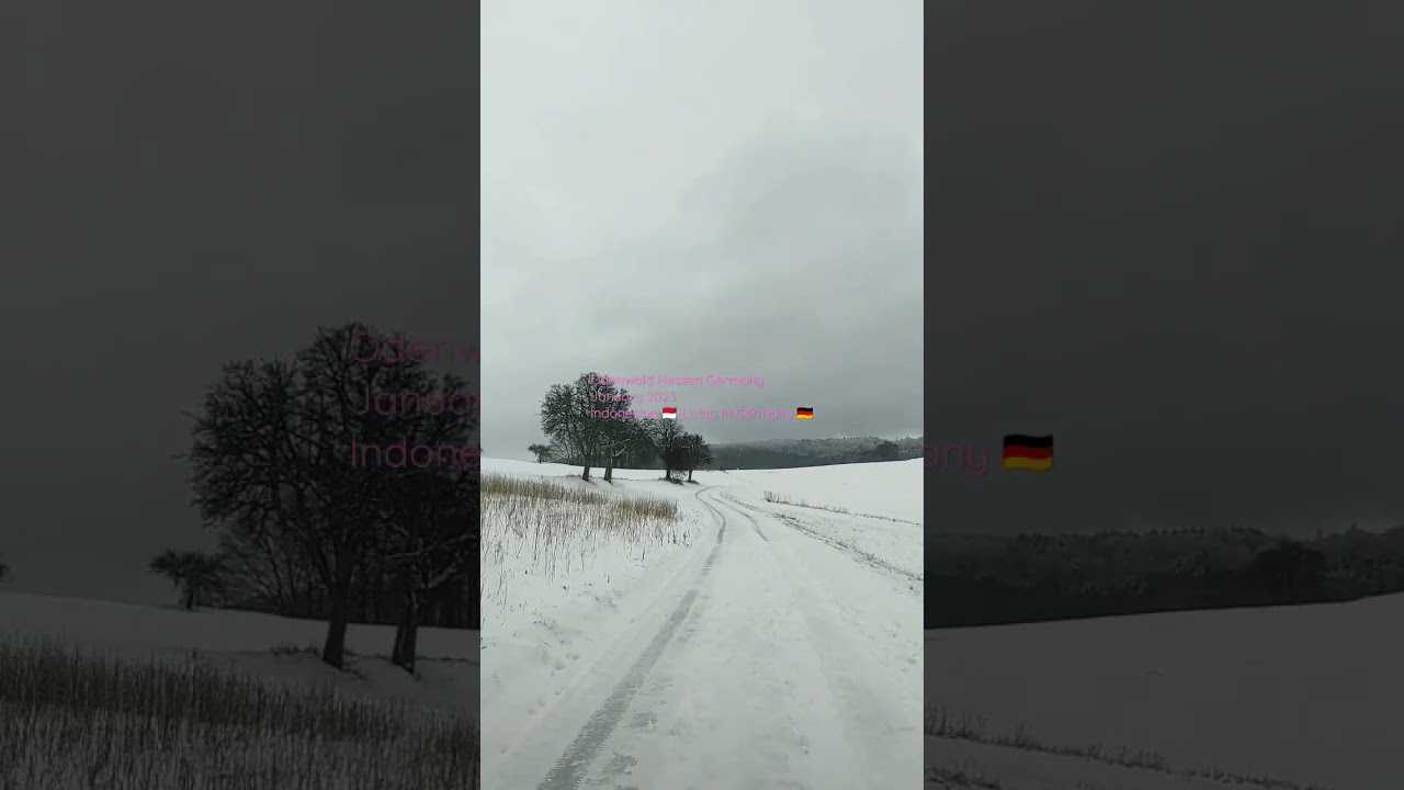 Odenwald Hessen Germany 🇩🇪 January 2023
