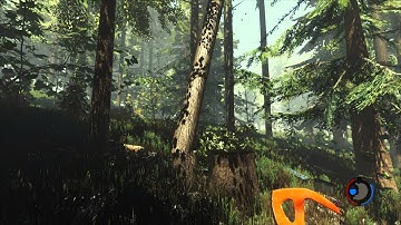 The Forest Unity 5 Gameplay No Commentary
