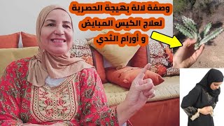 هدية لكل من تعاني من تأخر الحمل، جربي هذه الوصفة التي ساعدت الكثير من النساء (الدغموس) ?