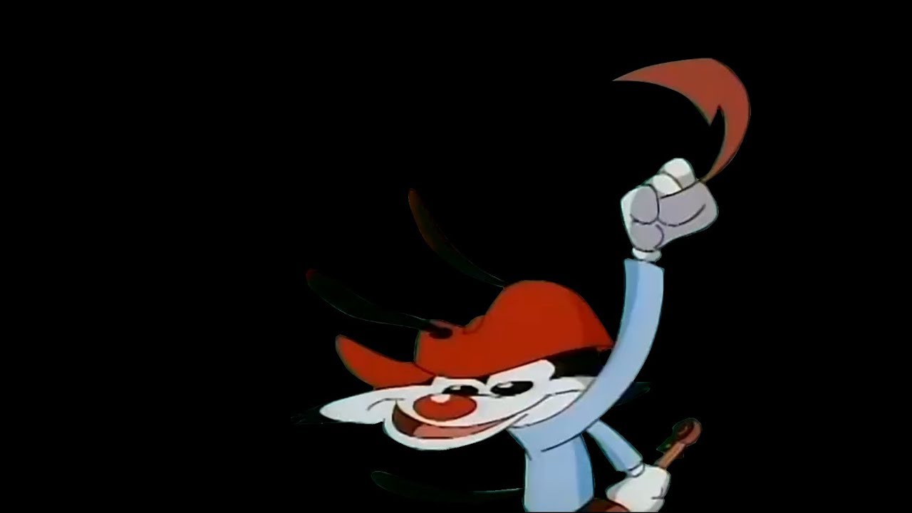 Wakko's America but Wakko doesn't appear in the video at all.