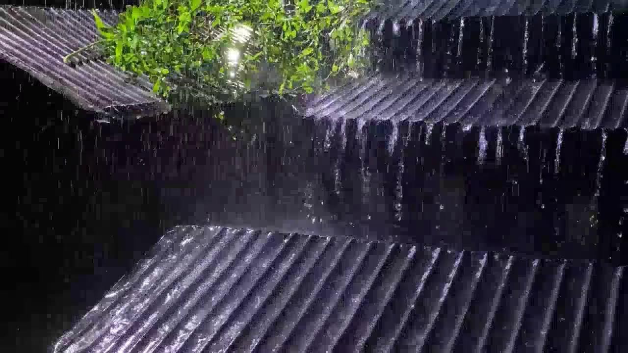 Powerful Shingle Rain on Old Tin Roof | Ultimate Sleep Instantly & Heavy Rain Sounds