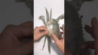 Dead Crab Hack: Turn Seafood Waste Into Epic Kids' Specimen! #Crab #Pet #Taxidermy
