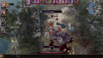 Divinity: Original Sin 2 - Co-op playthrough #11 ► 1080p 60fps - No commentary ◄