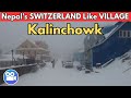 KALINCHOWK After HEAVY SNOWFALL-🇳🇵 Nepal&#39;s SWITZERLAND Like Kuri Village in Snow Mountains